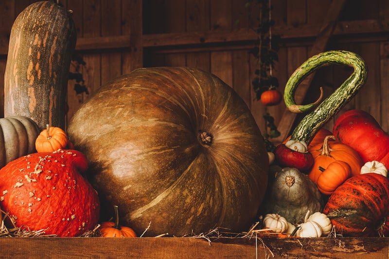 Pumpkins in Fall